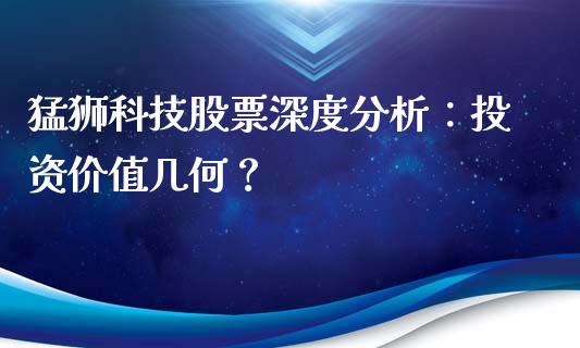 猛狮科技股票深度分析：投资价值几何？_https://cj.lansai.wang_期货问答_第1张