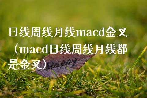 日线周线月线macd金叉（macd日线周线月线都是金叉）_https://cj.lansai.wang_期货问答_第1张