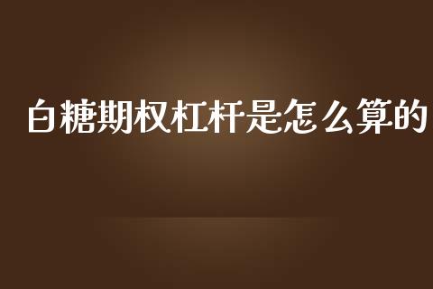 白糖期权杠杆是怎么算的_https://cj.lansai.wang_财经百问_第1张