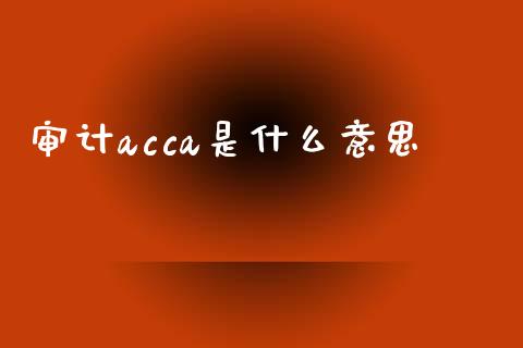 审计acca是什么意思_https://cj.lansai.wang_会计问答_第1张