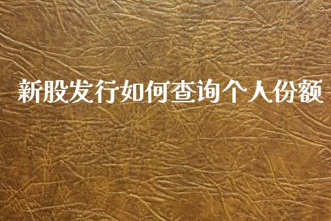 新股发行如何查询个人份额_https://cj.lansai.wang_会计问答_第1张