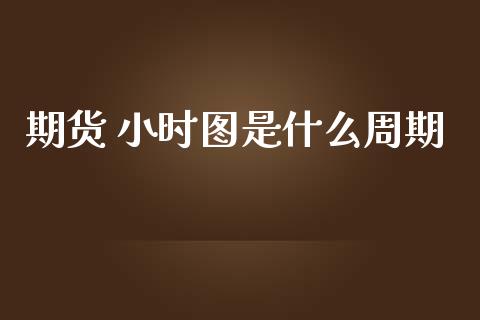 期货 小时图是什么周期_https://cj.lansai.wang_保险问答_第1张