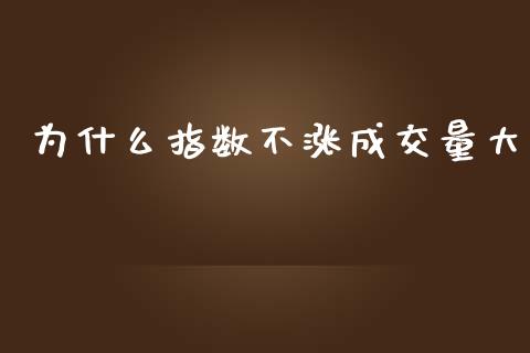 为什么指数不涨成交量大_https://cj.lansai.wang_财经百问_第1张