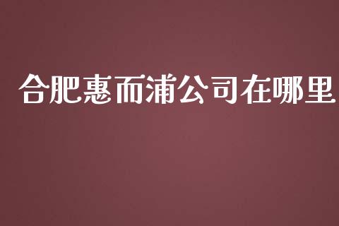 合肥惠而浦公司在哪里_https://cj.lansai.wang_财经百问_第1张