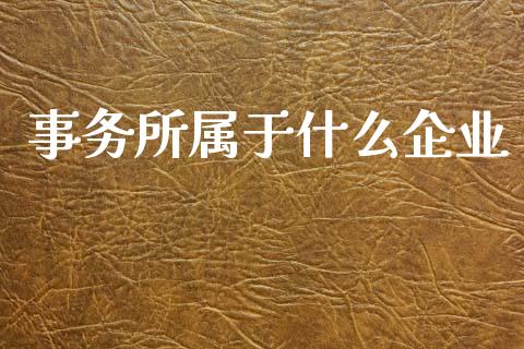 事务所属于什么企业_https://cj.lansai.wang_会计问答_第1张