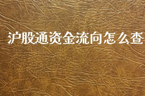 沪股通资金流向怎么查_https://cj.lansai.wang_金融问答_第1张