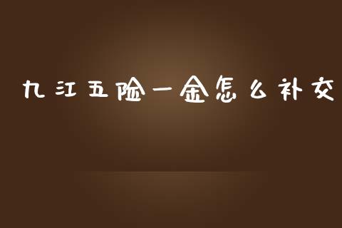 九江五险一金怎么补交_https://cj.lansai.wang_保险问答_第1张