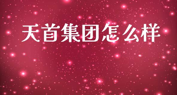 天首集团怎么样_https://cj.lansai.wang_会计问答_第1张