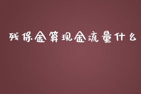 残保金算现金流量什么_https://cj.lansai.wang_理财问答_第1张