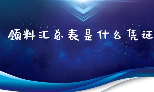 领料汇总表是什么凭证_https://cj.lansai.wang_会计问答_第1张