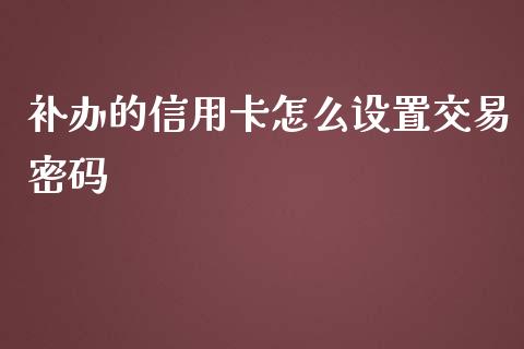 补办的信用卡怎么设置交易密码_https://cj.lansai.wang_金融问答_第1张