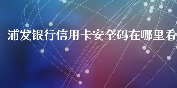 浦发银行信用卡安全码在哪里看_https://cj.lansai.wang_理财问答_第1张