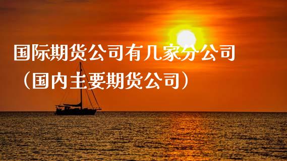 国际期货公司有几家分公司（国内主要期货公司）_https://cj.lansai.wang_财经百问_第1张