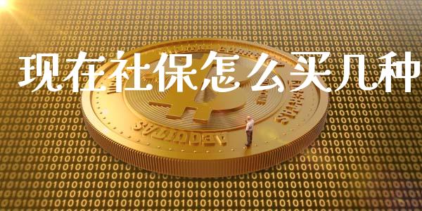 现在社保怎么买几种_https://cj.lansai.wang_保险问答_第1张