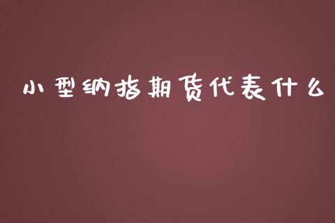 小型纳指期货代表什么_https://cj.lansai.wang_会计问答_第1张