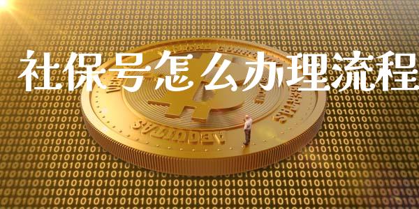 社保号怎么办理流程_https://cj.lansai.wang_保险问答_第1张