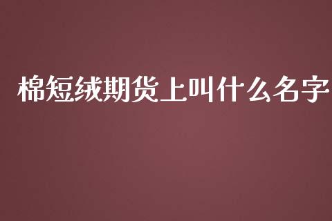 棉短绒期货上叫什么名字_https://cj.lansai.wang_金融问答_第1张