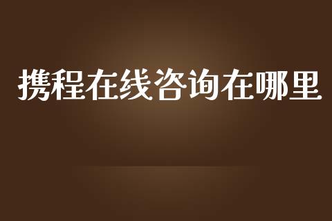 携程在线咨询在哪里_https://cj.lansai.wang_财经百问_第1张