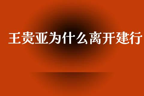 王贵亚为什么离开建行_https://cj.lansai.wang_金融问答_第1张