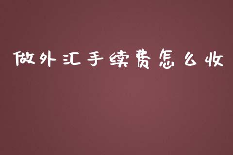 做外汇手续费怎么收_https://cj.lansai.wang_财经问答_第1张