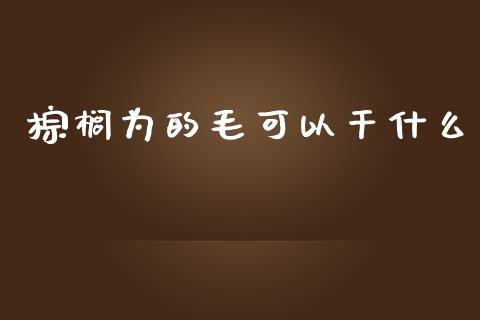 棕榈为的毛可以干什么_https://cj.lansai.wang_期货问答_第1张