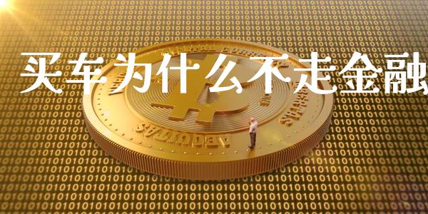 买车为什么不走金融_https://cj.lansai.wang_理财问答_第1张