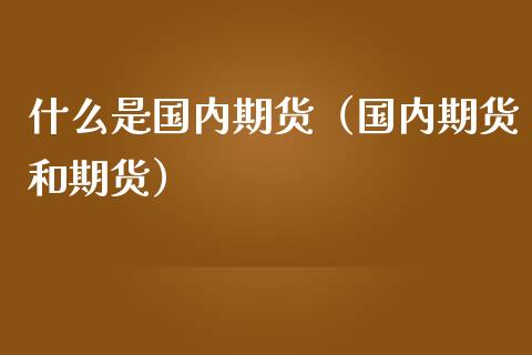 什么是国内期货（国内期货和期货）_https://cj.lansai.wang_会计问答_第1张