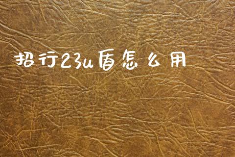 招行23u盾怎么用_https://cj.lansai.wang_金融问答_第1张