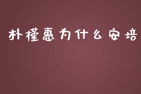 朴槿惠为什么安培_https://cj.lansai.wang_金融问答_第1张