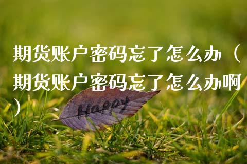 期货账户密码忘了怎么办（期货账户密码忘了怎么办啊）_https://cj.lansai.wang_期货问答_第1张