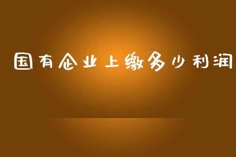 国有企业上缴多少利润_https://cj.lansai.wang_财经问答_第1张