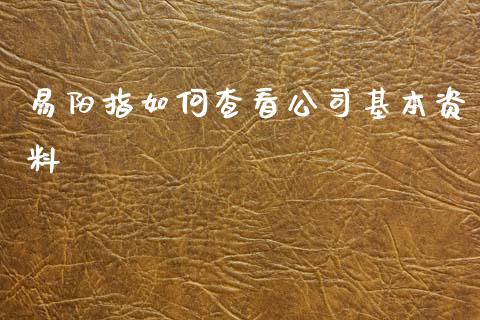 易阳指如何查看公司基本资料_https://cj.lansai.wang_股市问答_第1张