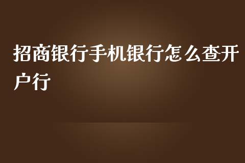 招商银行手机银行怎么查开户行_https://cj.lansai.wang_金融问答_第1张