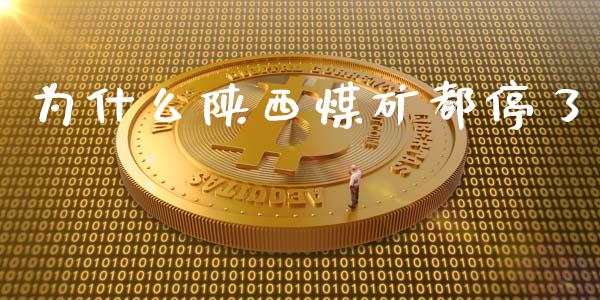 为什么陕西煤矿都停了_https://cj.lansai.wang_股市问答_第1张