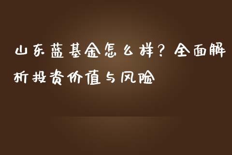 山东蓝基金怎么样？全面解析投资价值与风险_https://cj.lansai.wang_理财问答_第1张