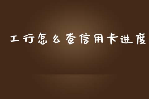 工行怎么查信用卡进度_https://cj.lansai.wang_金融问答_第1张