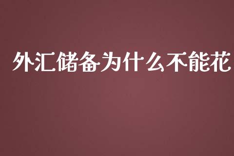 外汇储备为什么不能花_https://cj.lansai.wang_保险问答_第1张