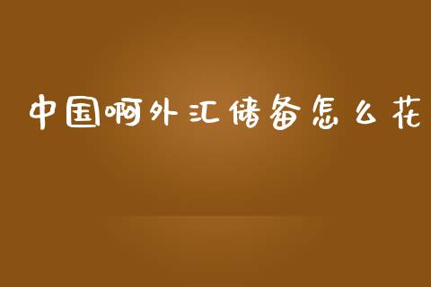 中国啊外汇储备怎么花_https://cj.lansai.wang_理财问答_第1张