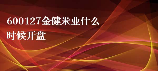 600127金健米业什么时候开盘_https://cj.lansai.wang_会计问答_第1张