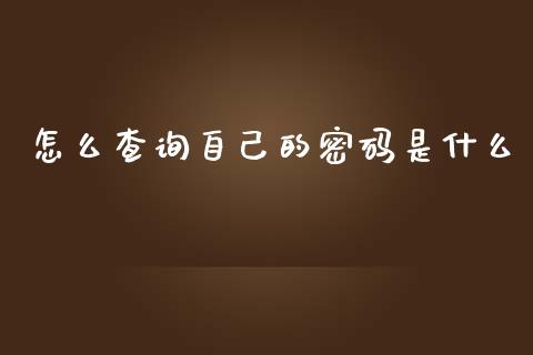 怎么查询自己的密码是什么_https://cj.lansai.wang_理财问答_第1张