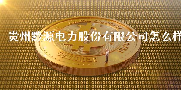 贵州黔源电力股份有限公司怎么样_https://cj.lansai.wang_财经问答_第1张