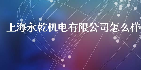 上海永乾机电有限公司怎么样_https://cj.lansai.wang_会计问答_第1张