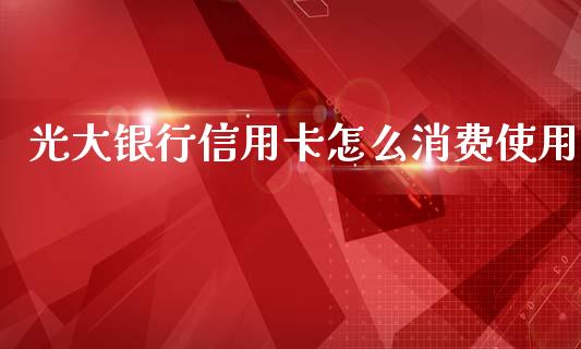 光大银行信用卡怎么消费使用_https://cj.lansai.wang_金融问答_第1张