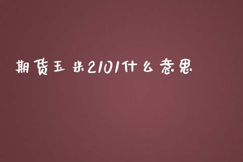 期货玉米2101什么意思_https://cj.lansai.wang_保险问答_第1张