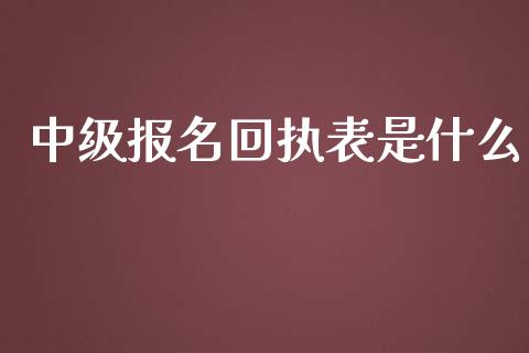 中级报名回执表是什么_https://cj.lansai.wang_会计问答_第1张