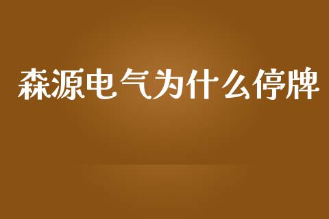 森源电气为什么停牌_https://cj.lansai.wang_会计问答_第1张