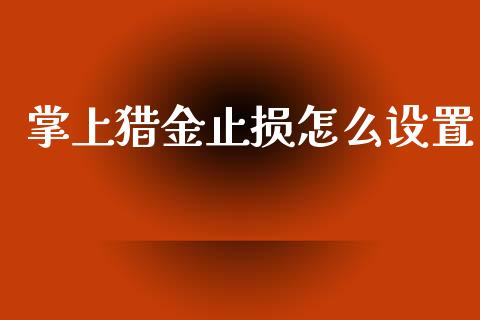 掌上猎金止损怎么设置_https://cj.lansai.wang_期货问答_第1张