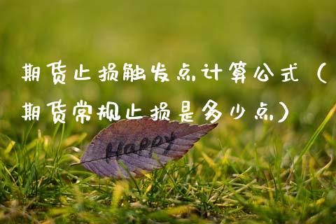 期货止损触发点计算公式（期货常规止损是多少点）_https://cj.lansai.wang_理财问答_第1张