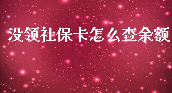 没领社保卡怎么查余额_https://cj.lansai.wang_保险问答_第1张