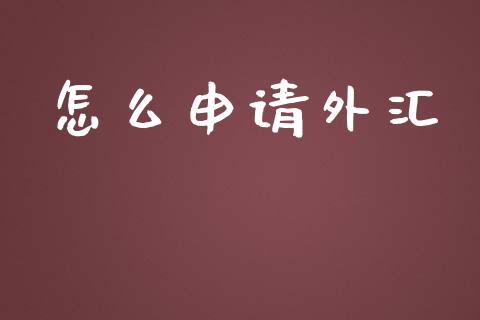 怎么申请外汇_https://cj.lansai.wang_财经问答_第1张